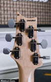 Paul Reed Smith PRS Silver Sky Rosewood - Faded Black Tee Satin