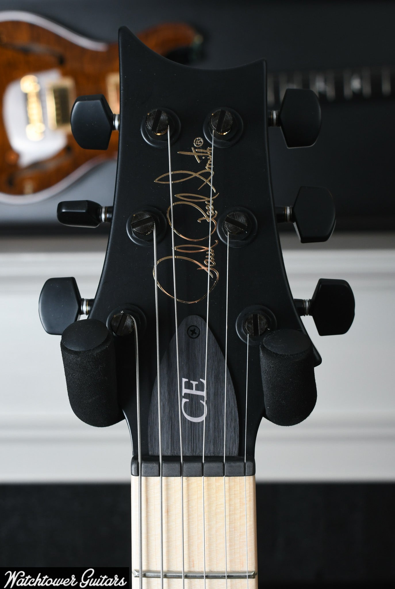Paul Reed Smith PRS Dustie Waring CE 24 Hardtail Limited Waring Burst