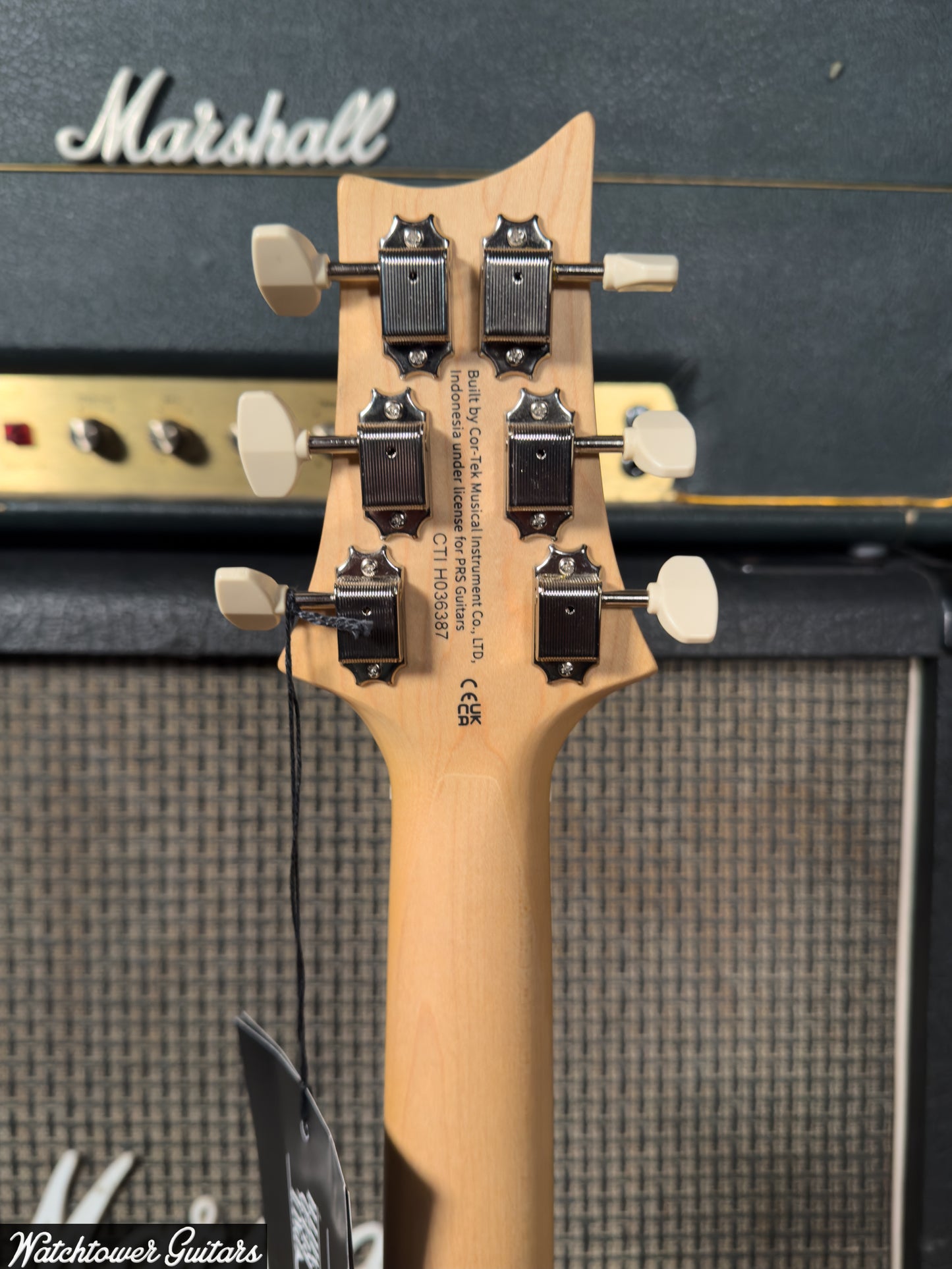 Paul Reed Smith PRS SE NF 53 Black Doghair