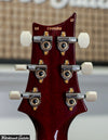 Paul Reed Smith PRS DGT Birds 10 Top Dark Cherry Sunburst
