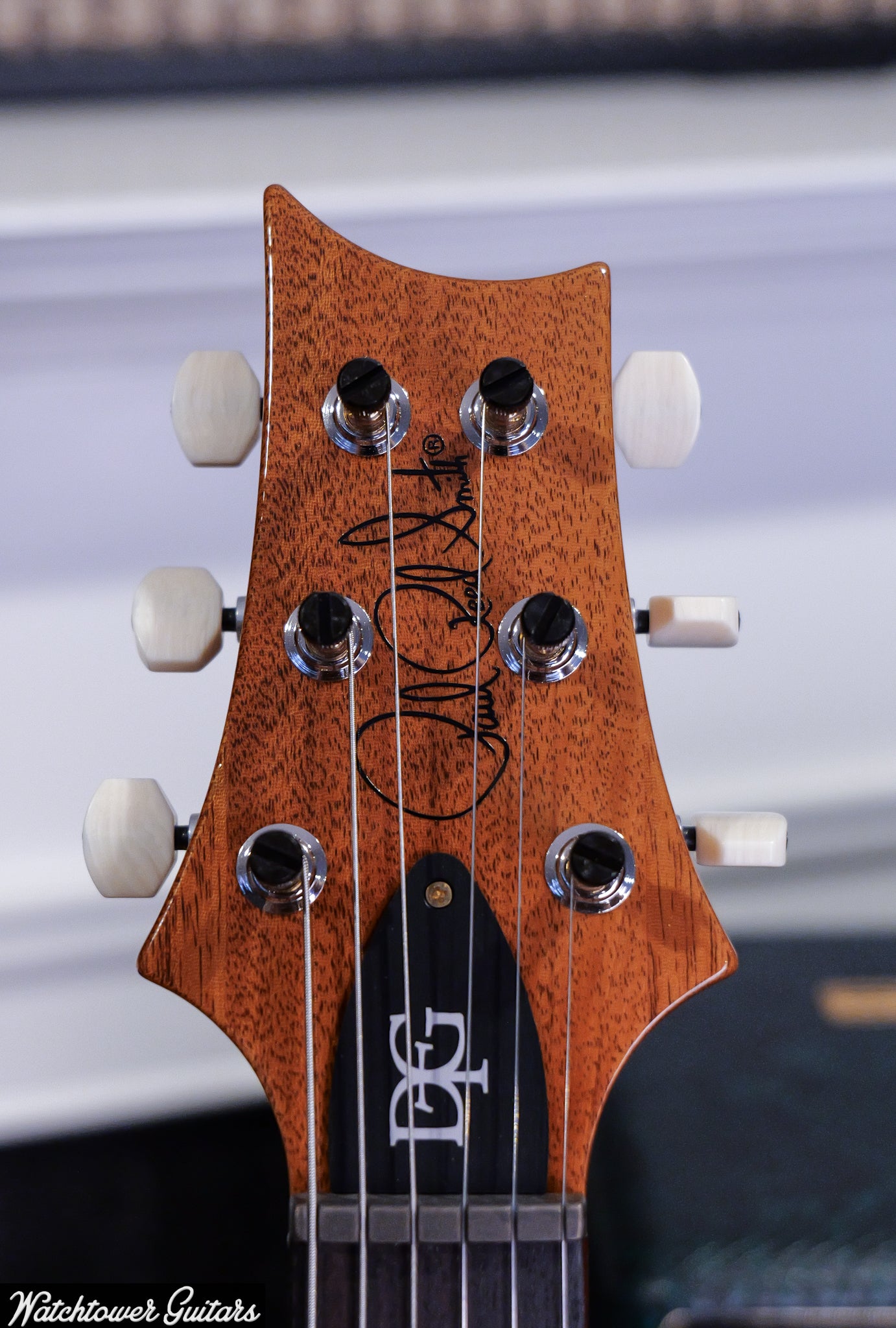 Paul Reed Smith PRS DGT Birds 10 Top Faded Blue Jean