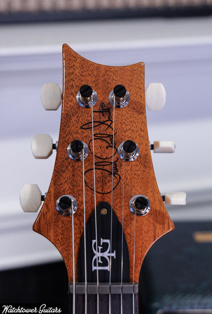 Paul Reed Smith PRS DGT Birds 10 Top Faded Blue Jean