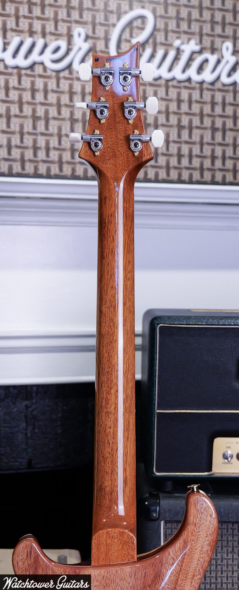 Paul Reed Smith PRS DGT Birds 10 Top Faded Blue Jean