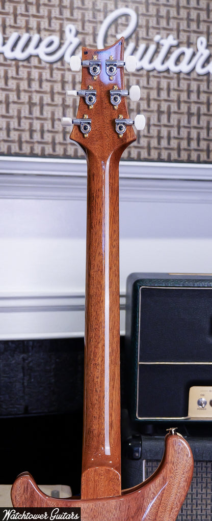 Paul Reed Smith PRS DGT Birds 10 Top Faded Blue Jean