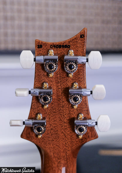 Paul Reed Smith PRS DGT Birds 10 Top Faded Blue Jean