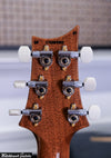 Paul Reed Smith PRS DGT Birds 10 Top Faded Blue Jean