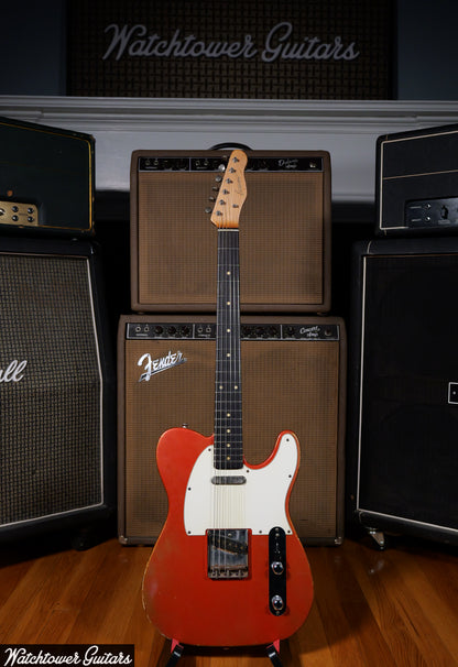 2025 Danocaster Single Cut Candy Apple Red