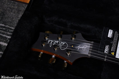 Paul Reed Smith PRS Custom 24 Dany Villarreal Astryx Limited Edition - Ocaso