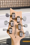 Paul Reed Smith PRS SE Silver Sky Maple Summit Purple