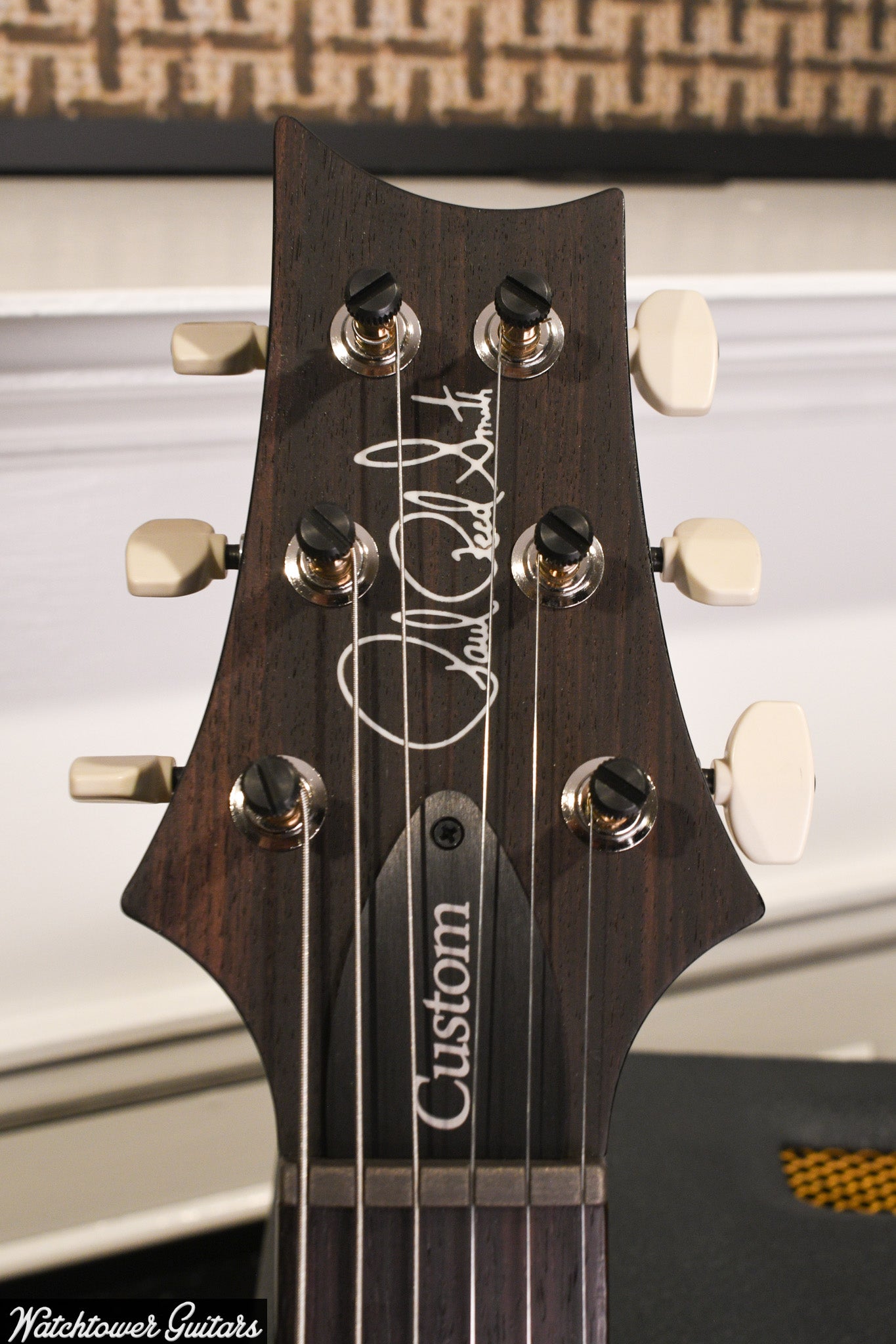 Paul Reed Smith PRS Custom 24 Faded Whale Blue