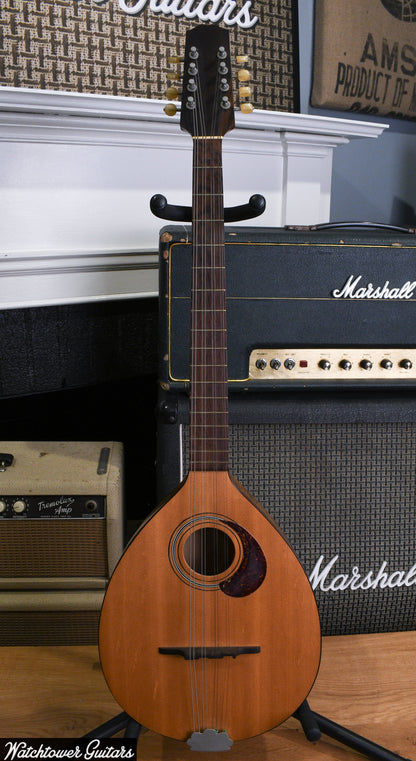 Cittern 8-string