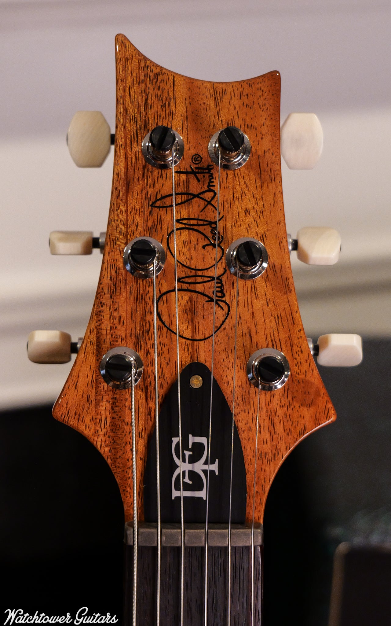 Paul Reed Smith PRS DGT Birds 10 Top Charcoal