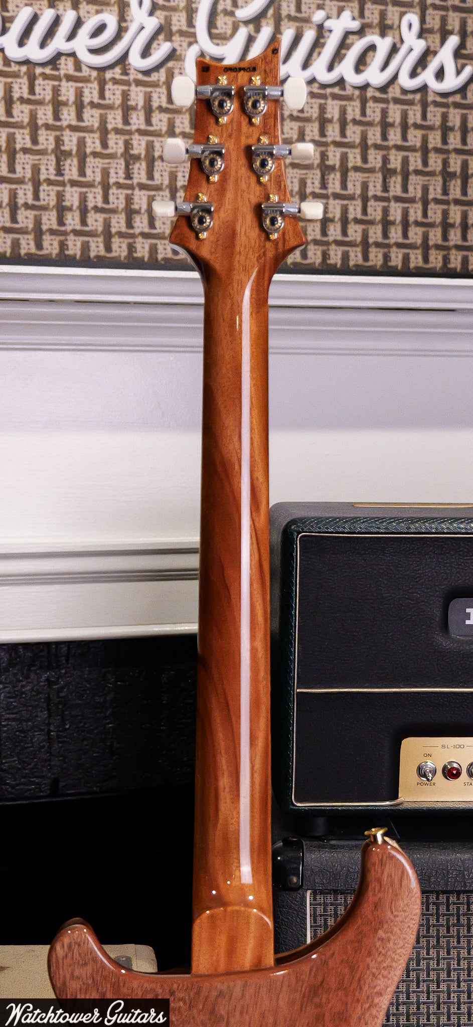 Paul Reed Smith PRS DGT Birds 10 Top Charcoal