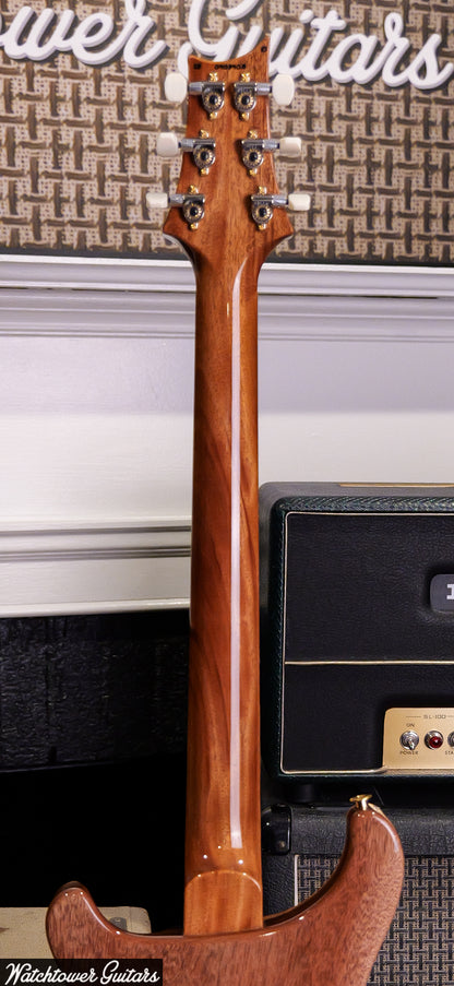 Paul Reed Smith PRS DGT Birds 10 Top Charcoal