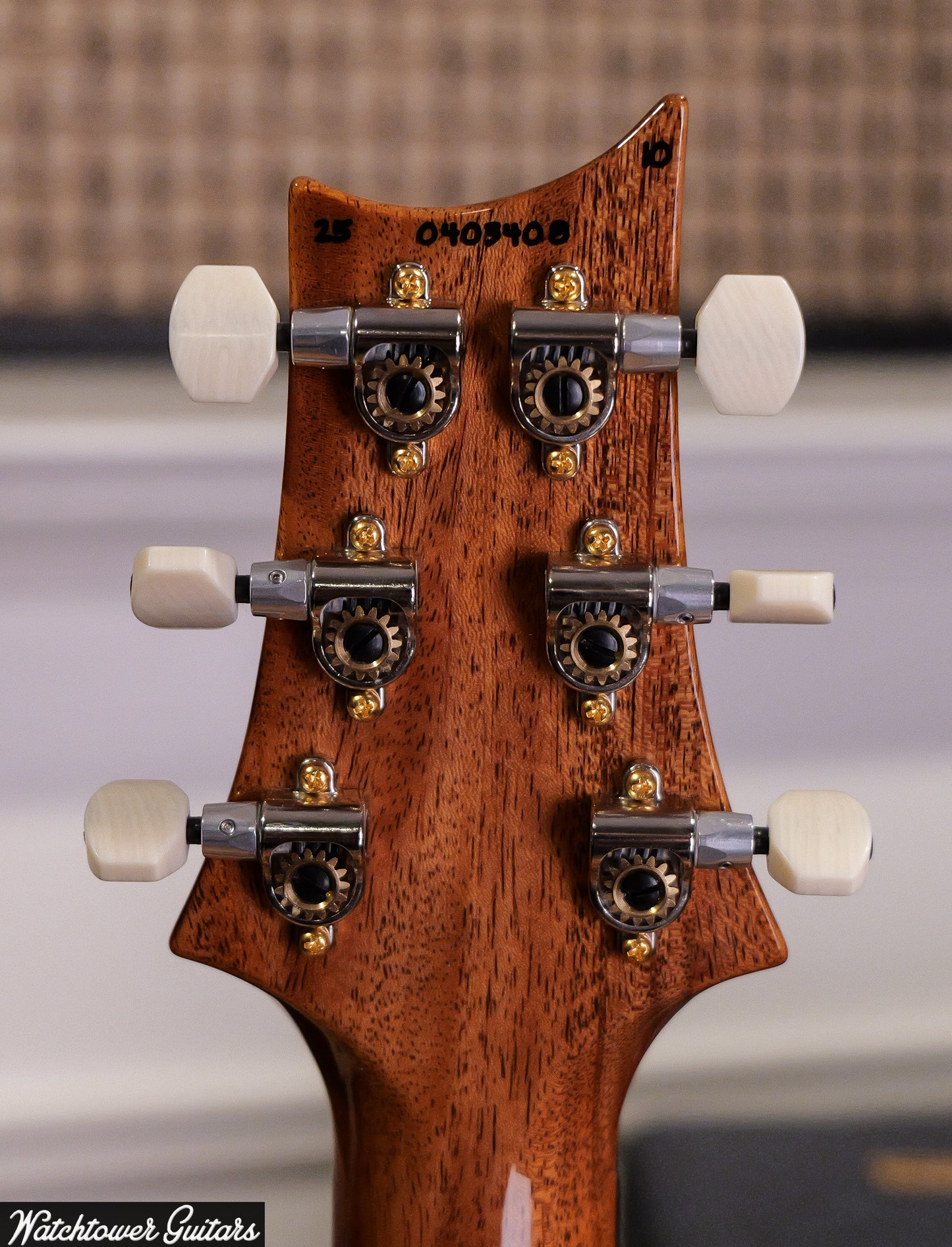 Paul Reed Smith PRS DGT Birds 10 Top Charcoal