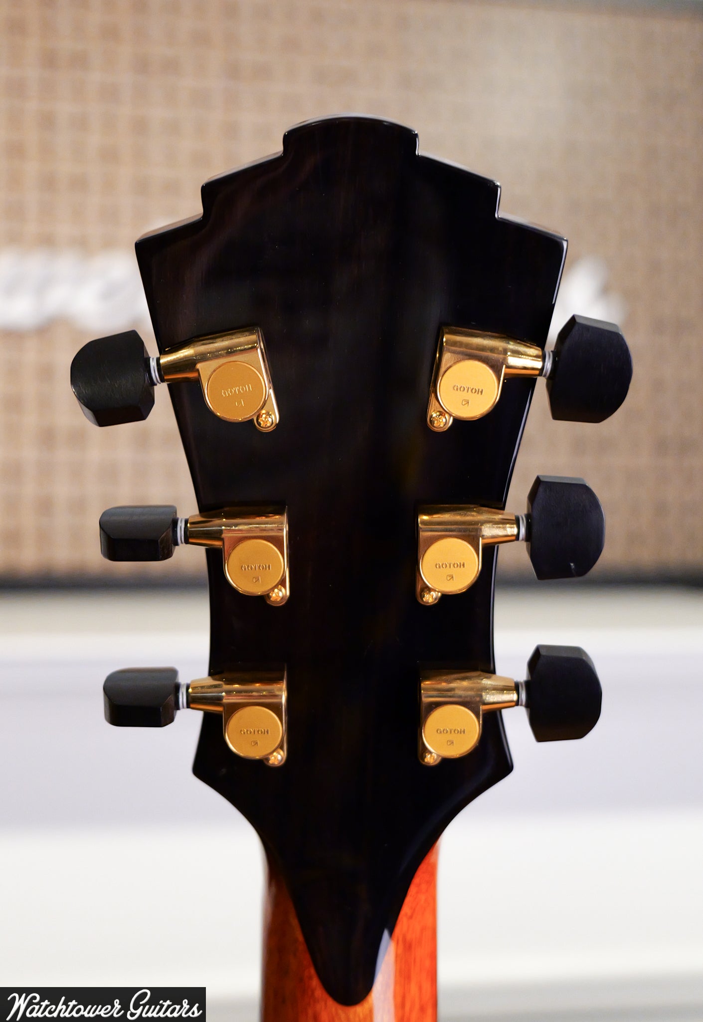 2018 Eastman AR380CE-HB John Pisano Signature Archtop