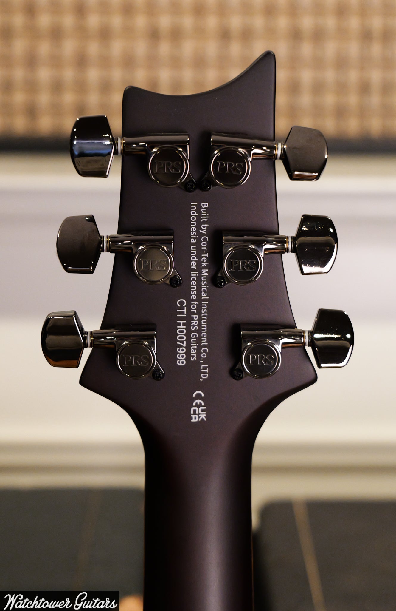 2025 Paul Reed Smith PRS SE DGT Laurel Burl Limited Edition