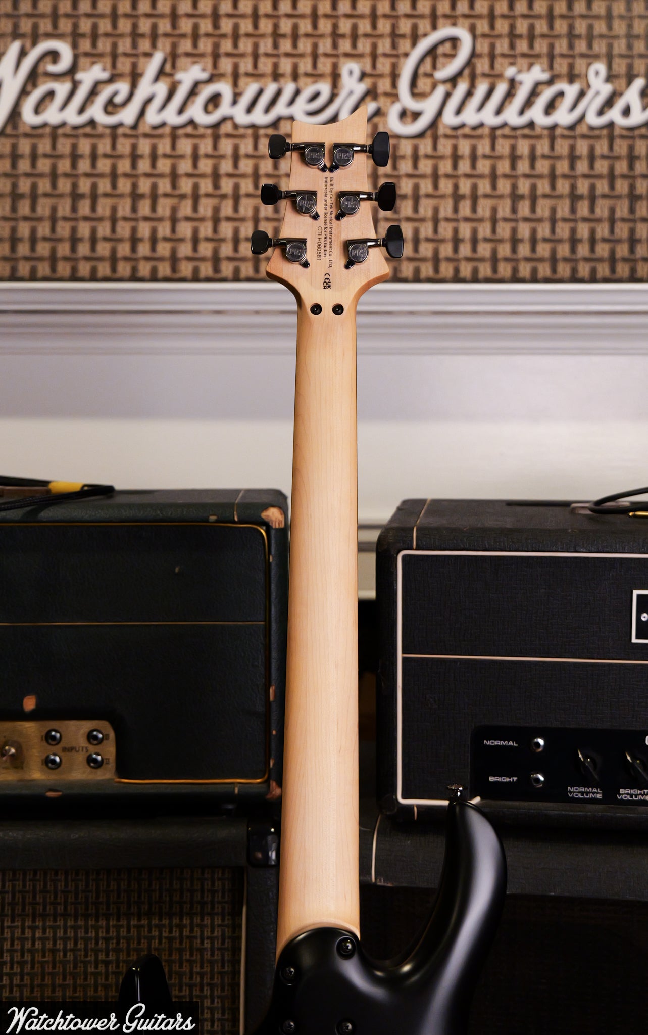 Paul Reed Smith PRS SE Chleo Orchid