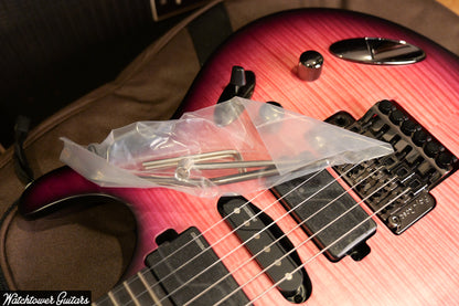 Paul Reed Smith PRS SE Chleo Orchid