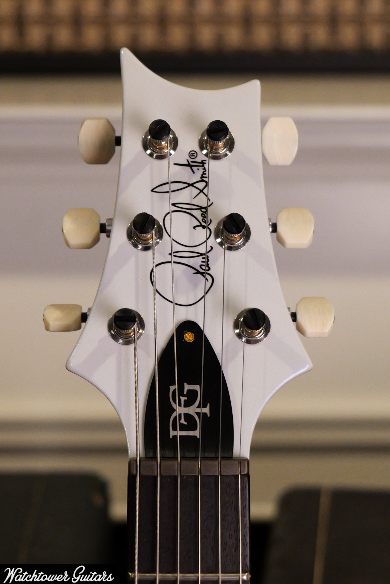 Paul Reed Smith PRS Semi Hollow 10 Top DGT Sprayer's Choice Faded Whale Blue & Pearl Metallic Back