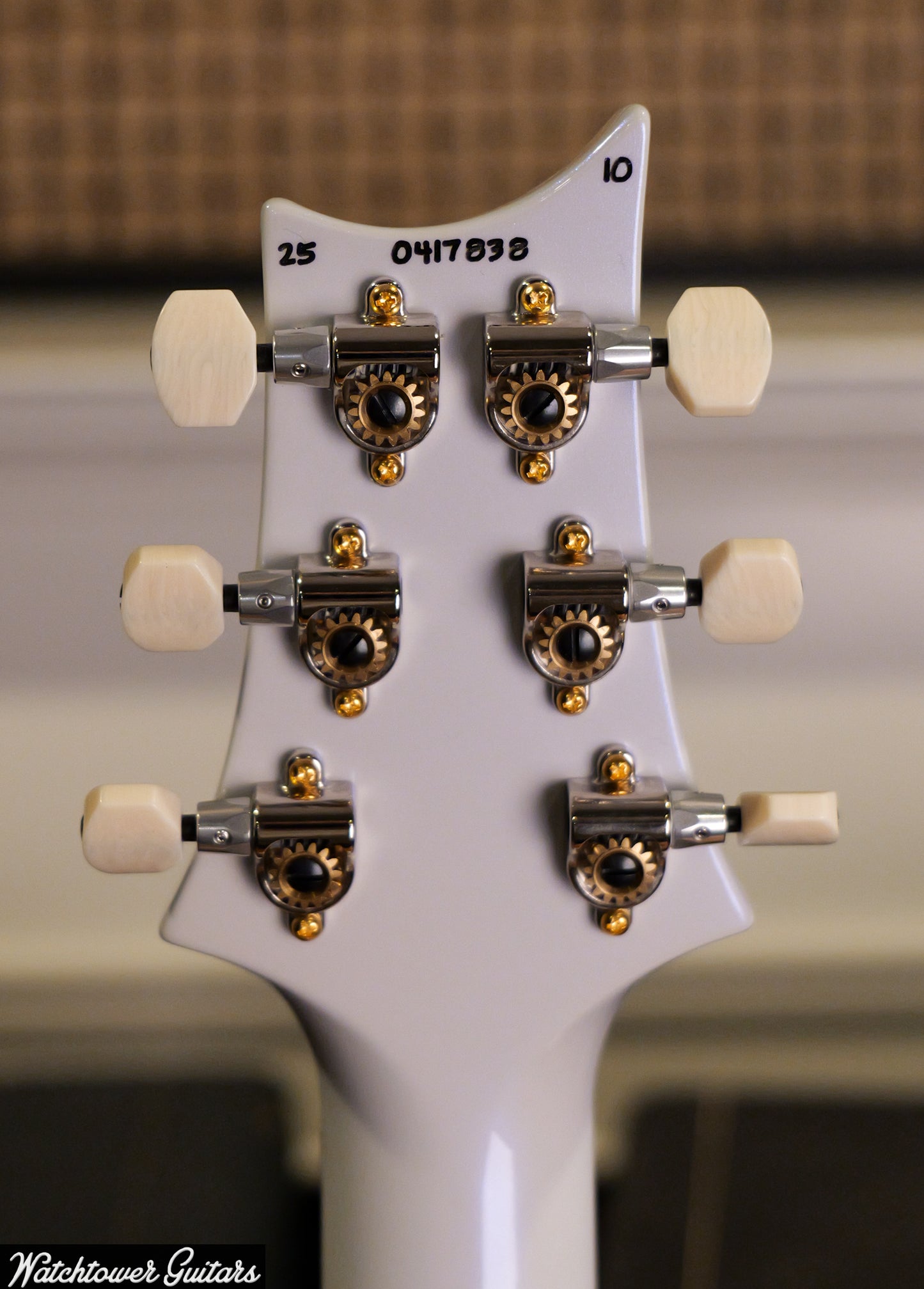 Paul Reed Smith PRS Semi Hollow 10 Top DGT Sprayer's Choice Faded Whale Blue & Pearl Metallic Back