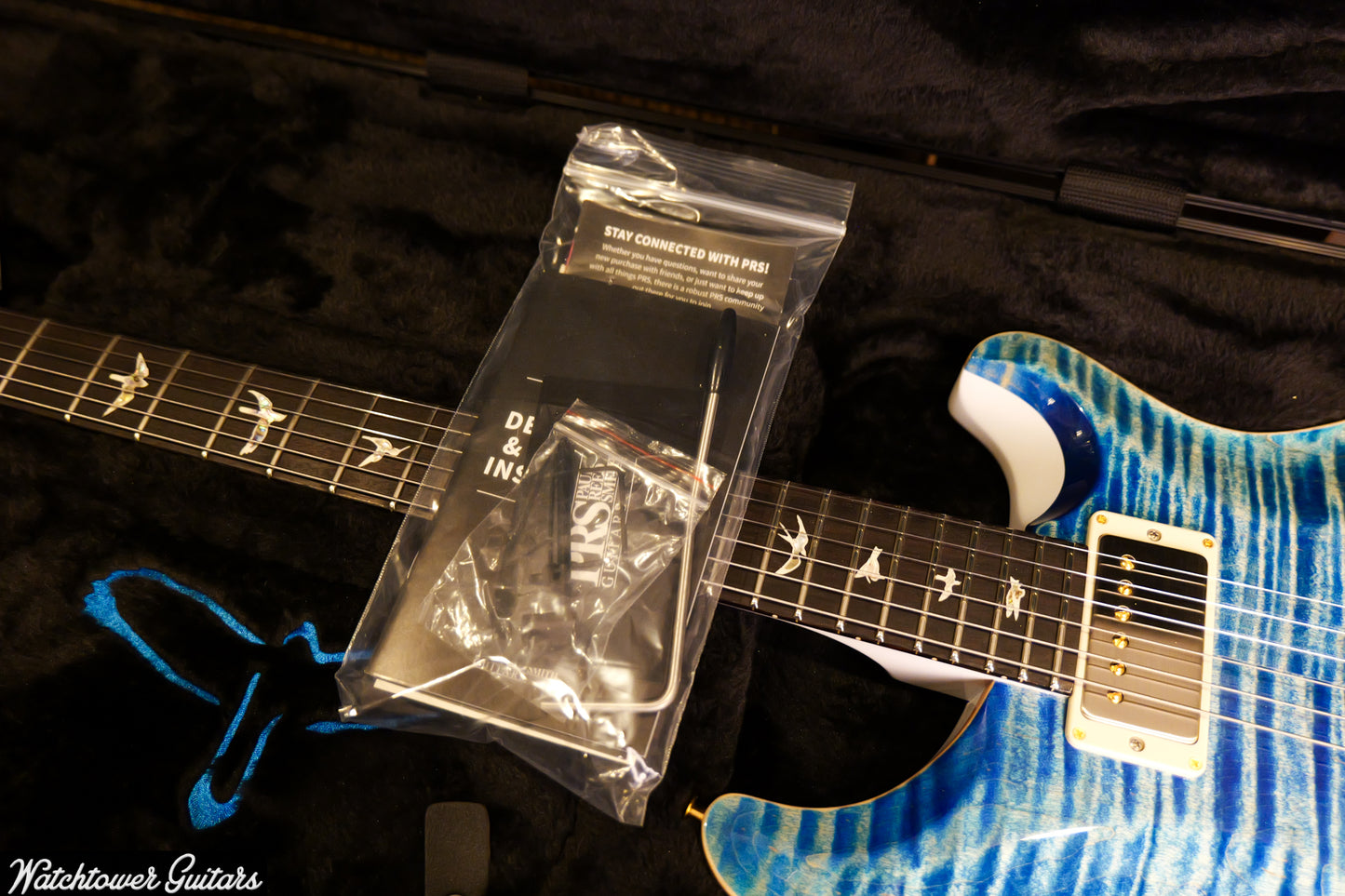 Paul Reed Smith PRS Semi Hollow 10 Top DGT Sprayer's Choice Faded Whale Blue & Pearl Metallic Back