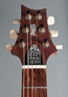 2020 Experience PRS Modern Eagle V Charcoal