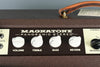 Magnatone Panoramic Stereo 2x10 Combo Vintage Brown