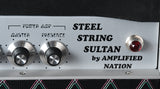 2019 Amplified Nation Steel String Sultan 100 Watt Head