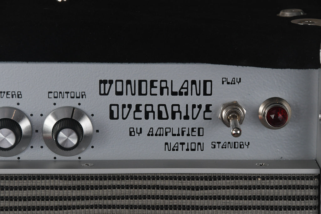 2019 Amplified Nation Wonderland Overdrive 50 Watt 1x12 Combo