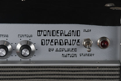 2019 Amplified Nation Wonderland Overdrive 50 Watt 1x12 Combo