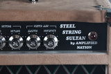 2019 Amplified Nation Steel String Sultan 75 Watt Head Dogwood Suede