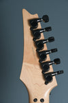 1990 Ibanez USA Custom RG Series Reptile Finish OHSC