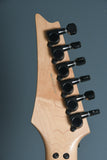 1990 Ibanez USA Custom RG Series Reptile Finish OHSC