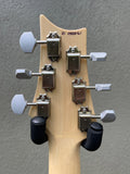 Paul Reed Smith PRS John Mayer Silver Sky Orion Green Maple Neck