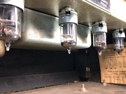 1964 Fender Tremolux Head