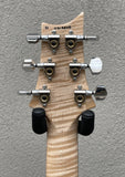 Paul Reed Smith PRS Custom 24 Artist Floyd *Custom Color* Blue Fade