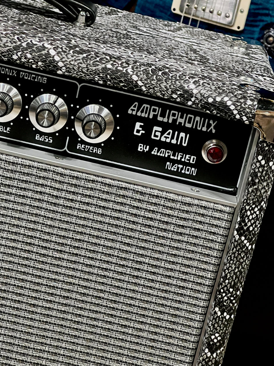 2020 Amplified Nation Ampliphonix & Gain 22 Watt Snakeskin 1x12 Combo