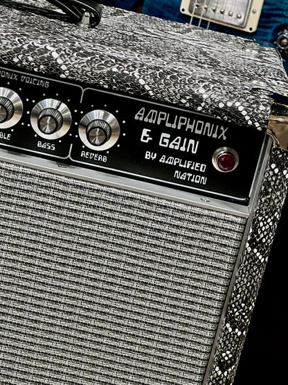 2020 Amplified Nation Ampliphonix & Gain 22 Watt Snakeskin 1x12 Combo