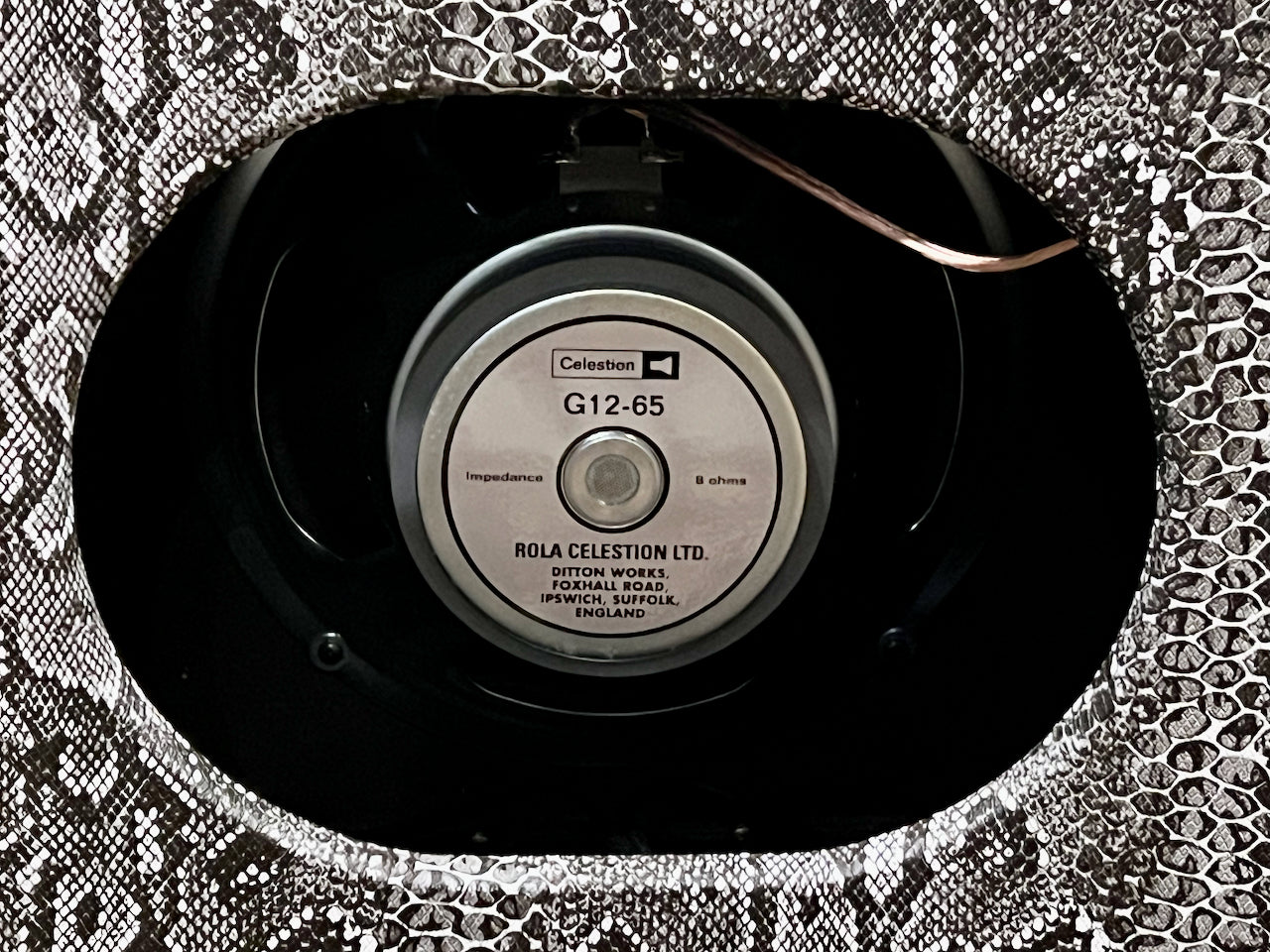 2020 Amplified Nation Ampliphonix & Gain 22 Watt Snakeskin 1x12 Combo