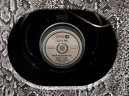 2020 Amplified Nation Ampliphonix & Gain 22 Watt Snakeskin 1x12 Combo