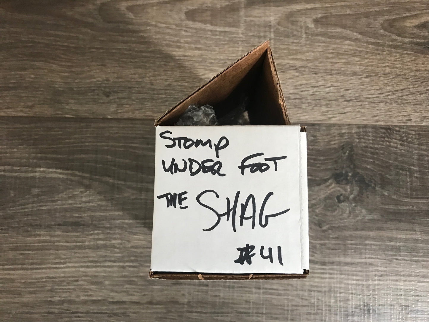 Stomp Under Foot The Shag