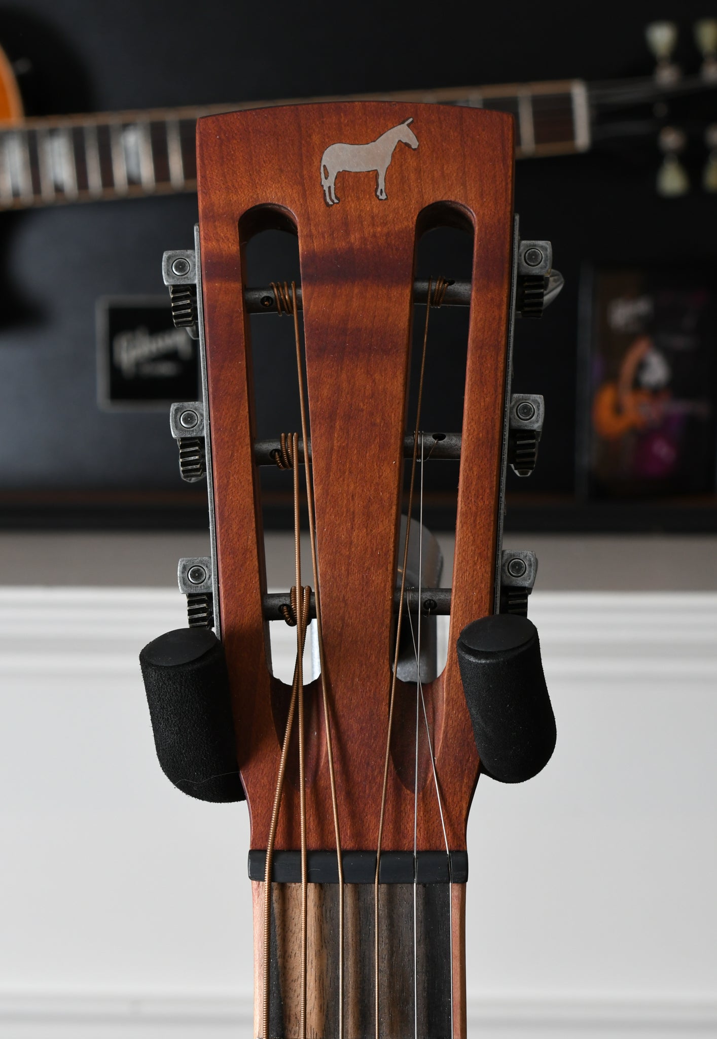 2021 Mule Resonator