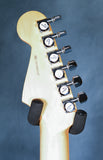 2019 Fender American Professional Stratocaster HSS Shawbucker Siena Burst