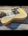 NEW Danocaster Mongrel Single Coil with Arcane pickups