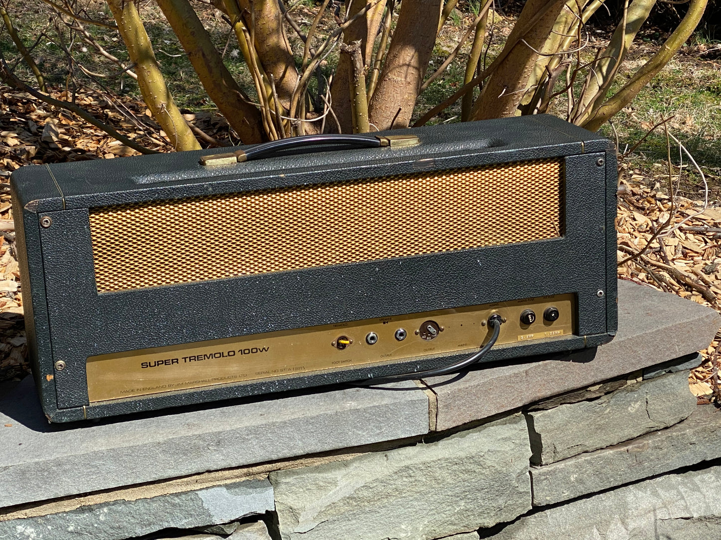 1968 Marshall Plexi Panel Super Tremolo 100w Head