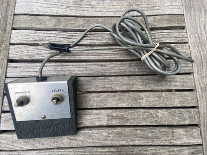 1964 Ampeg B-12XY Portaflex 2-Channel 50-Watt 1x12" Fliptop Guitar Combo